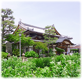 萩の寺の納骨・永代供養